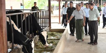 မွေးမြူရေးလုပ်ရန်မြေနေရာယူထားသူများ လုပ်ငန်းအောင်မြင်အောင်ဆောင်ရွက်ရန်လို